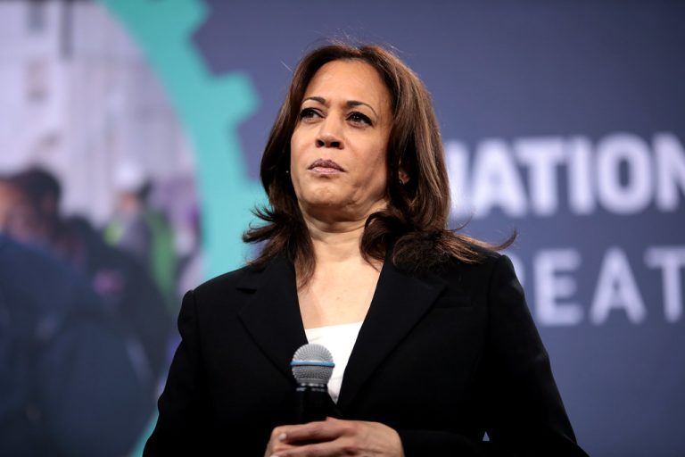 Detail breakdown of Kamala Harris's Word Salad Blogs Daily 1